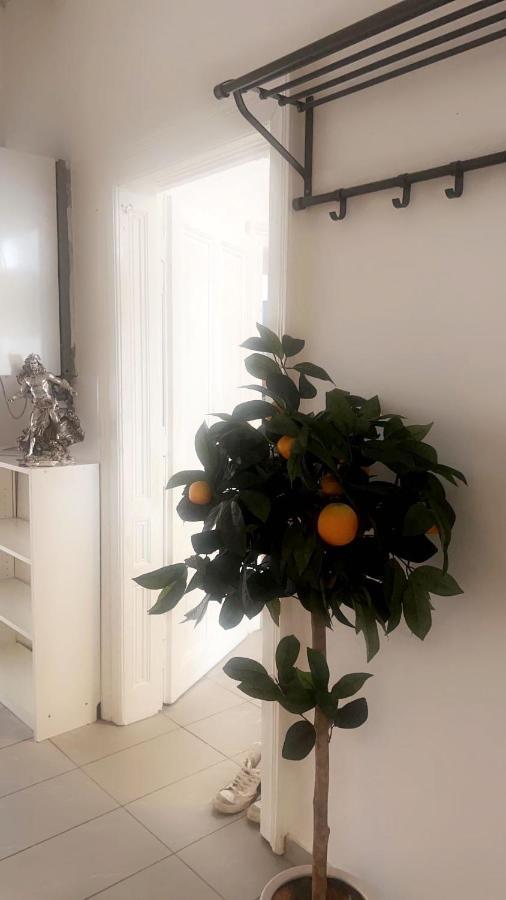 City Apartment Wien Exterior foto